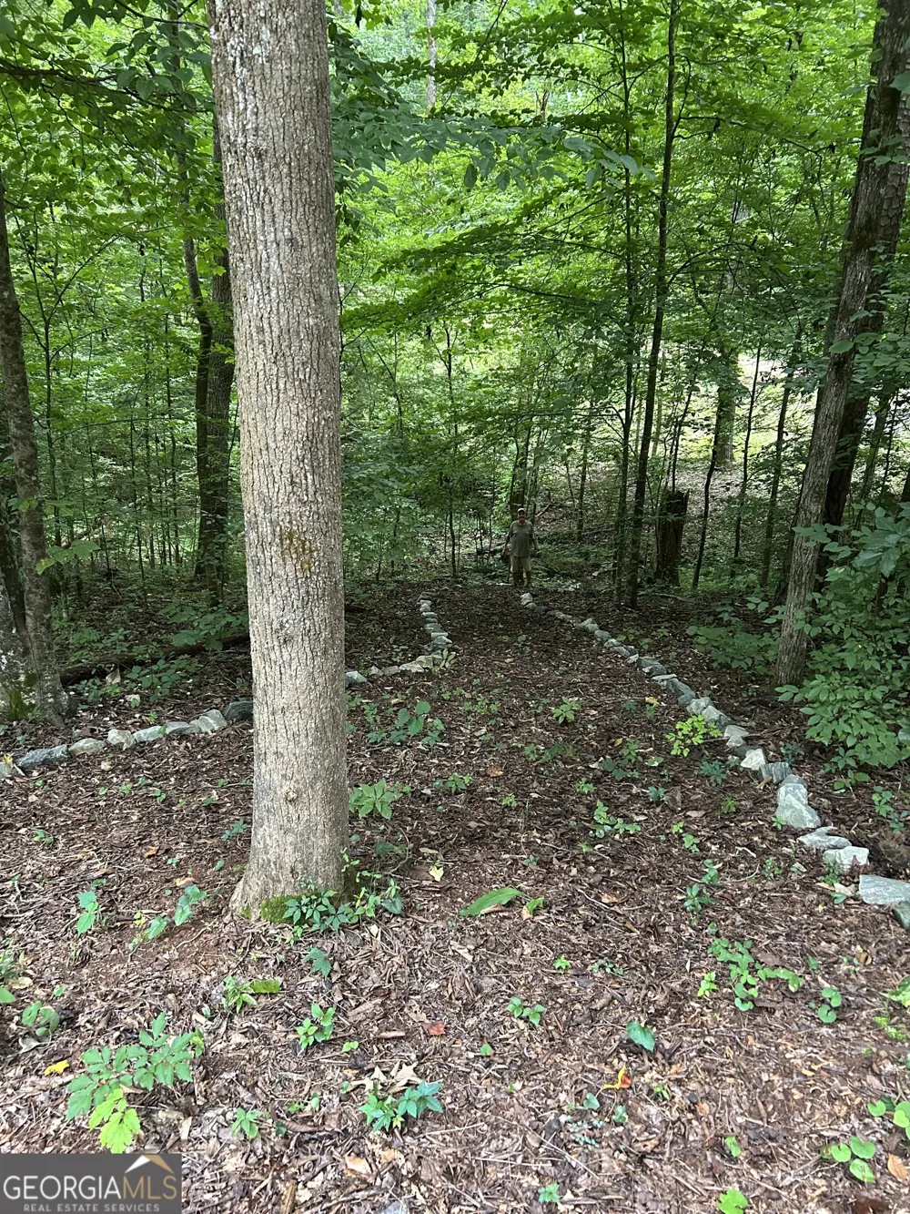 581 Cherokee RD Toccoa, GA 30577