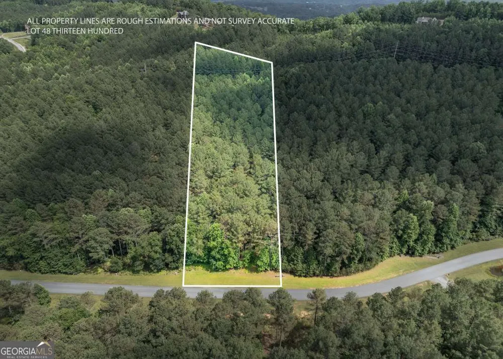 LOT 48 Thirteen Hundred Blairsville, GA 30512