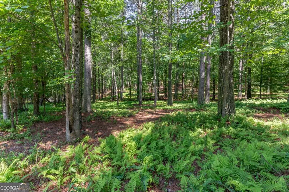 LOT 48 Thirteen Hundred Blairsville, GA 30512