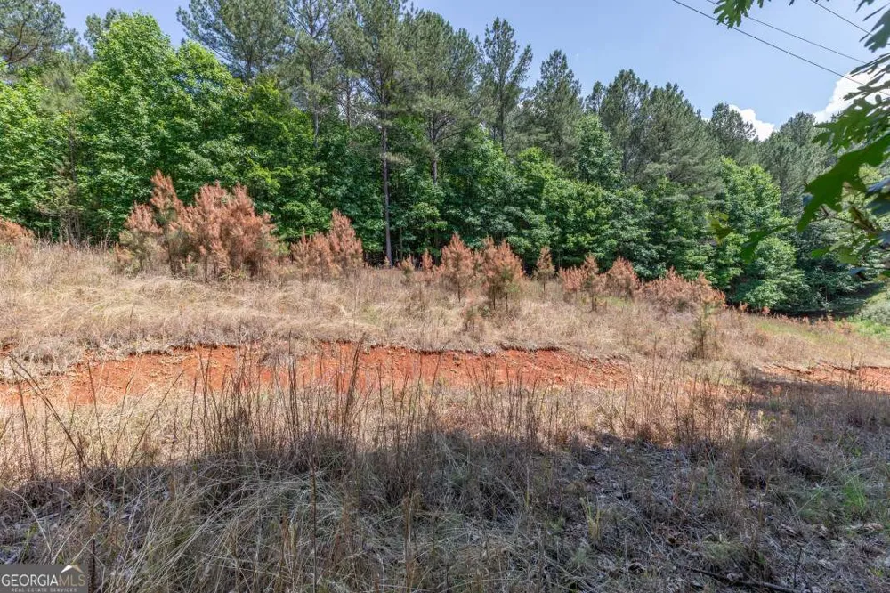 LOT 48 Thirteen Hundred Blairsville, GA 30512