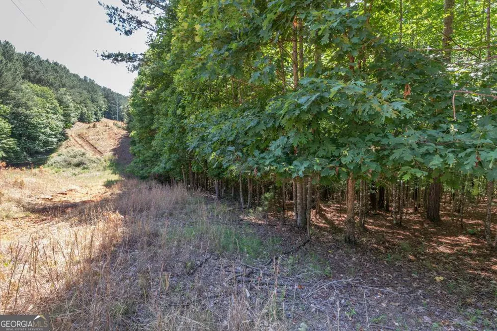 LOT 48 Thirteen Hundred Blairsville, GA 30512
