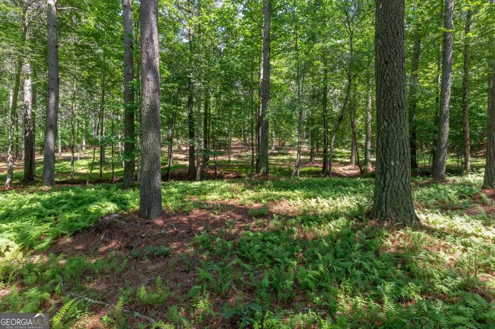LOT 48 Thirteen Hundred Blairsville, GA 30512