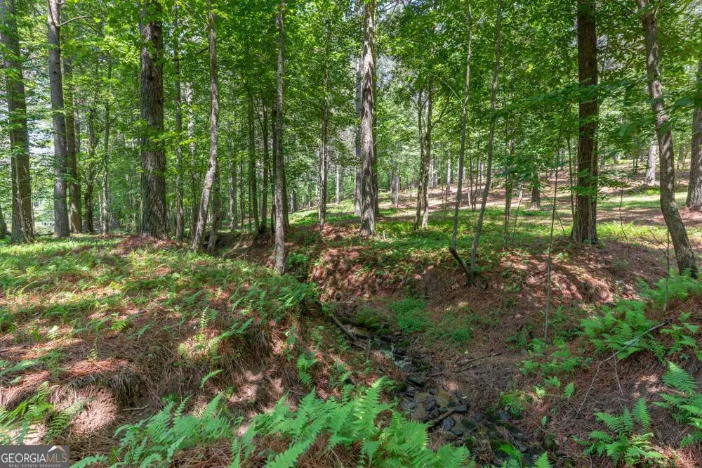 LOT 48 Thirteen Hundred Blairsville, GA 30512