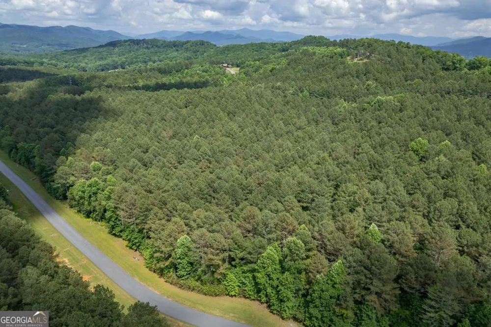 LOT 48 Thirteen Hundred Blairsville, GA 30512