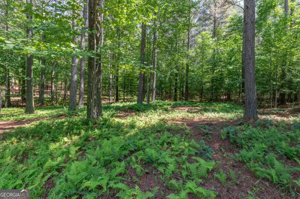 LOT 48 Thirteen Hundred Blairsville, GA 30512