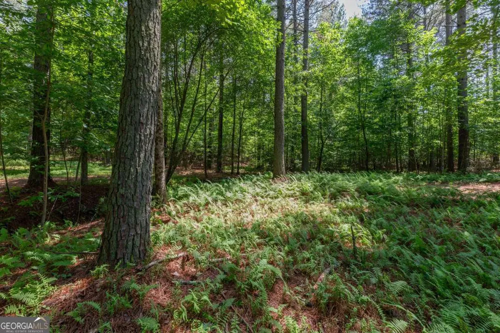 LOT 48 Thirteen Hundred Blairsville, GA 30512