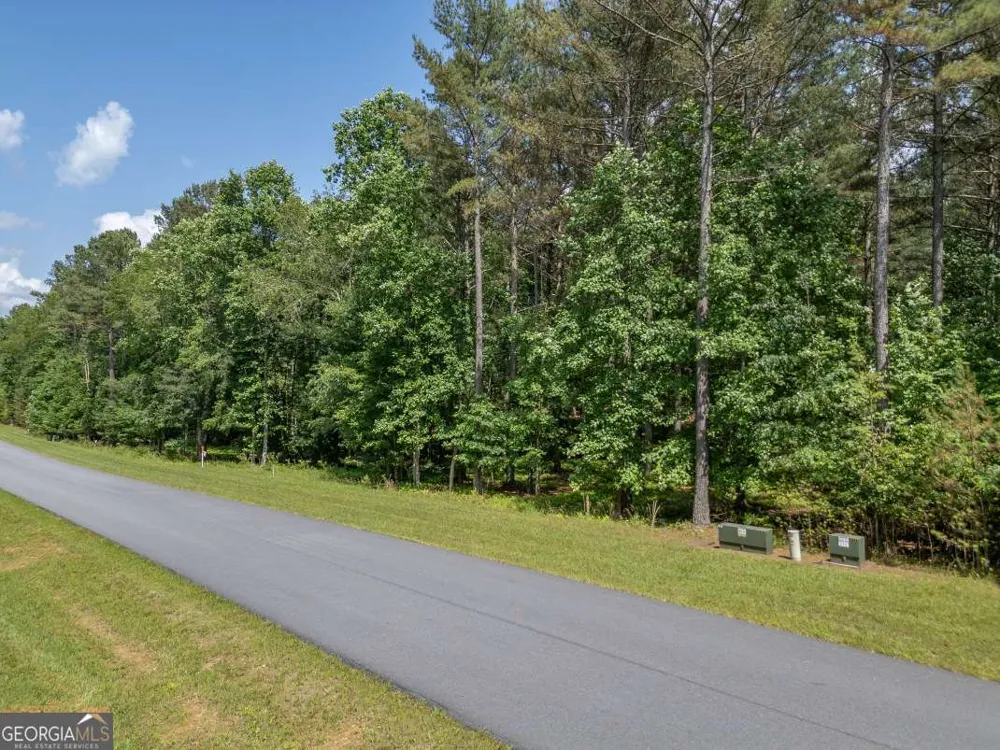 LOT 48 Thirteen Hundred Blairsville, GA 30512