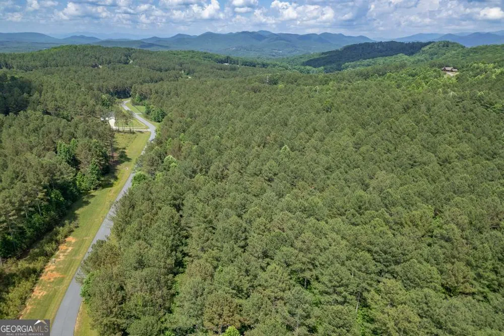 LOT 48 Thirteen Hundred Blairsville, GA 30512