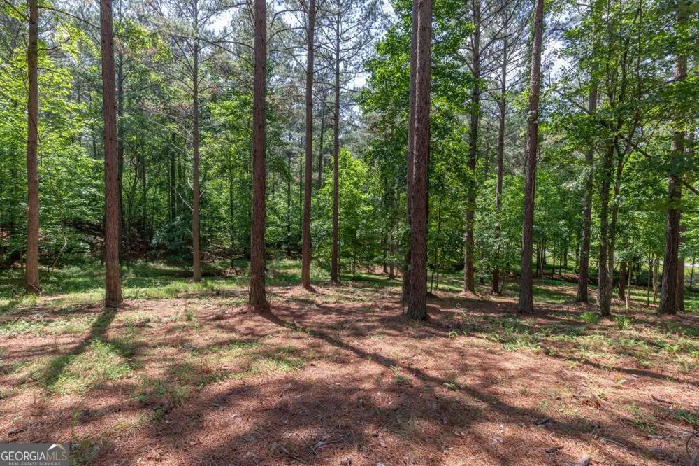 LOT 48 Thirteen Hundred Blairsville, GA 30512