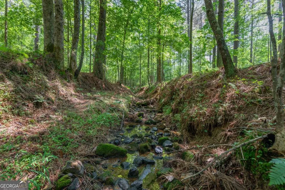 LOT 48 Thirteen Hundred Blairsville, GA 30512