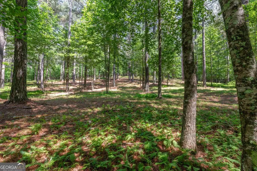 LOT 48 Thirteen Hundred Blairsville, GA 30512