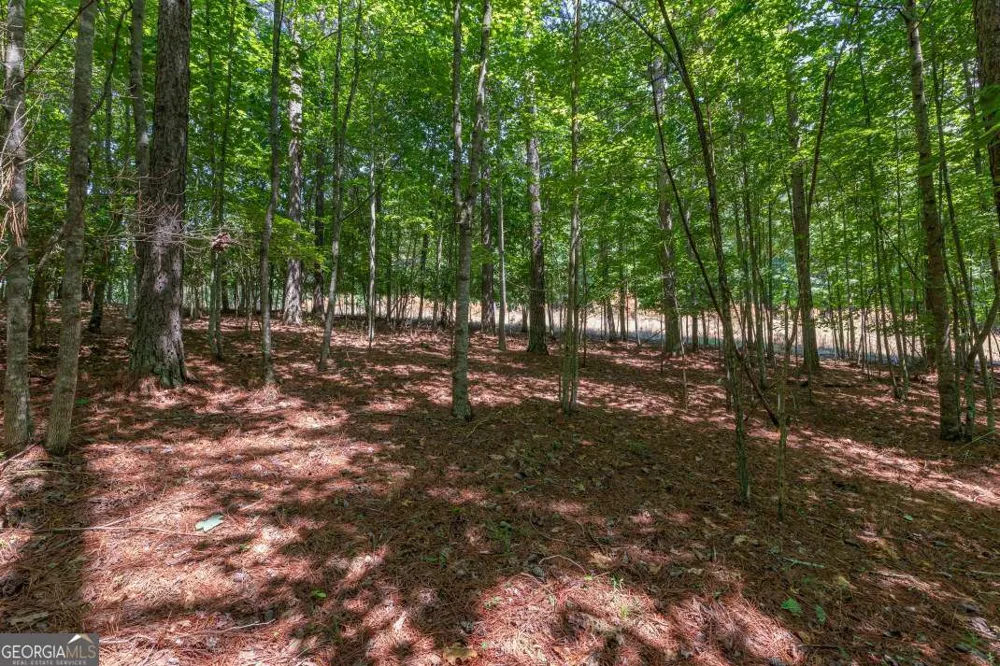 LOT 48 Thirteen Hundred Blairsville, GA 30512
