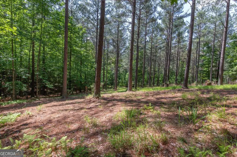 LOT 48 Thirteen Hundred Blairsville, GA 30512