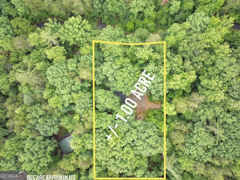 1130 Alpine DR Sautee Nacoochee, GA 30571