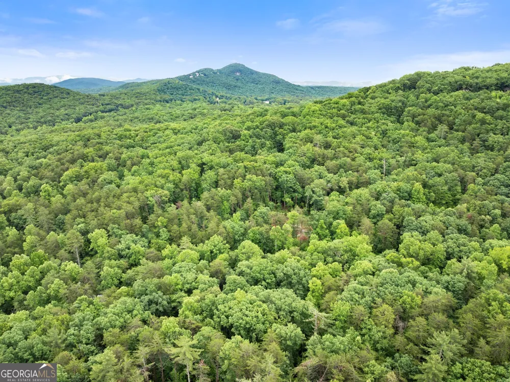 1130 Alpine DR Sautee Nacoochee, GA 30571