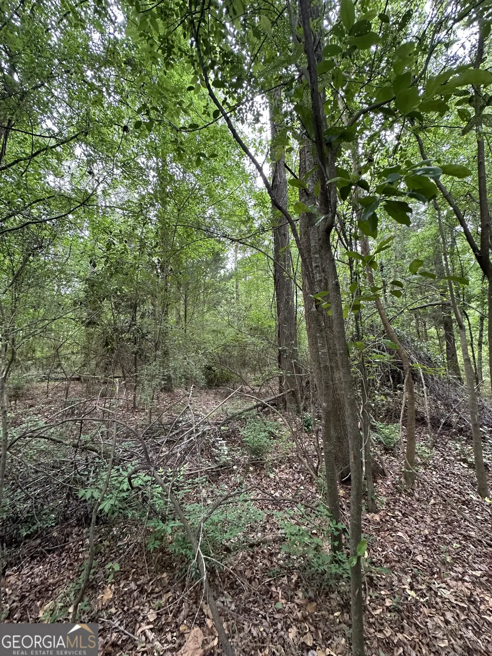 0 W HAYNES ST Sandersville, GA 31082