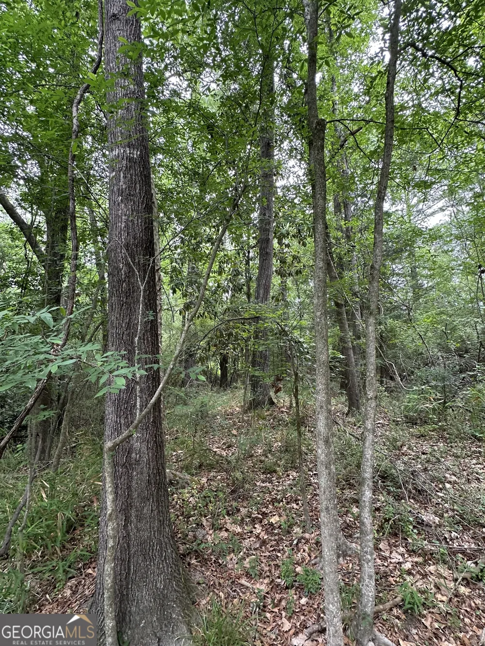 0 W HAYNES ST Sandersville, GA 31082
