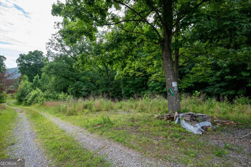 0 Newsome Gap RD Rising Fawn, GA 30738
