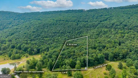 0 Newsome Gap RD