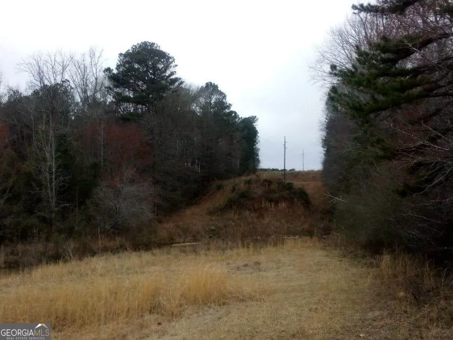 0 Old Woodbury HWY Woodbury, GA 30293