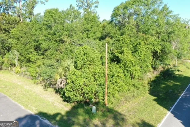 438 Davis ST Homeland, GA 31537
