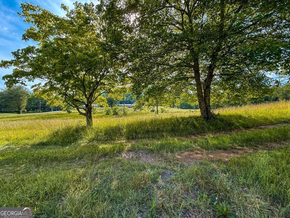 239 Glen Elliott RD Suches, GA 30572