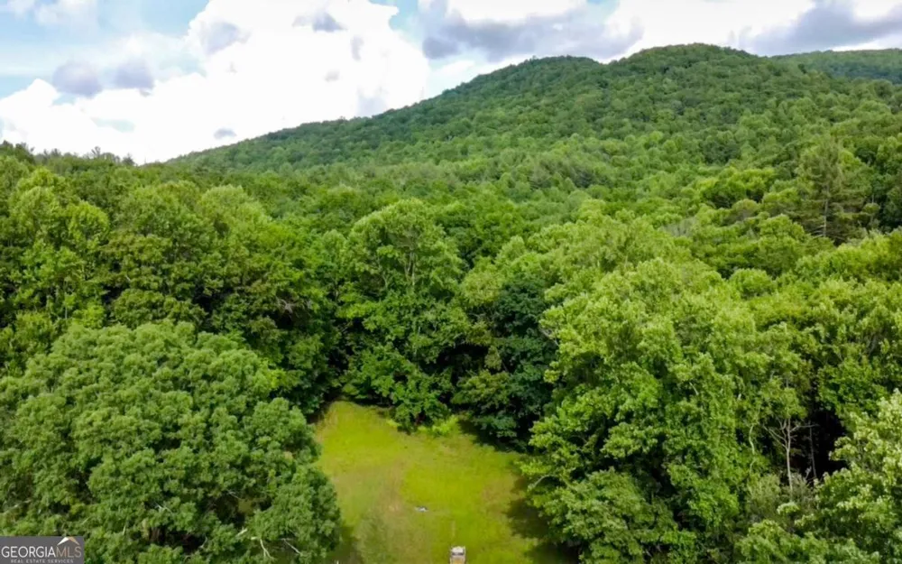239 Glen Elliott RD Suches, GA 30572