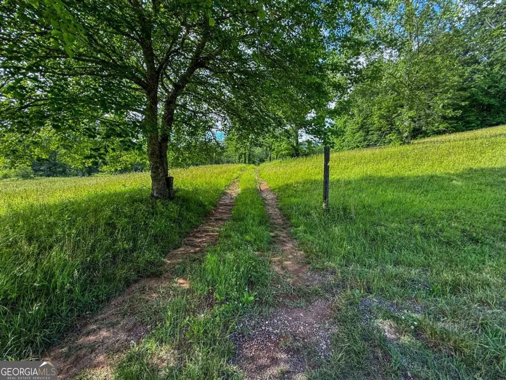 239 Glen Elliott RD Suches, GA 30572