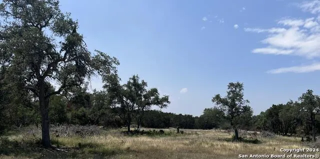 1733 PARADISE PKWY Canyon, TX 78133