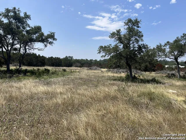 1733 PARADISE PKWY Canyon, TX 78133