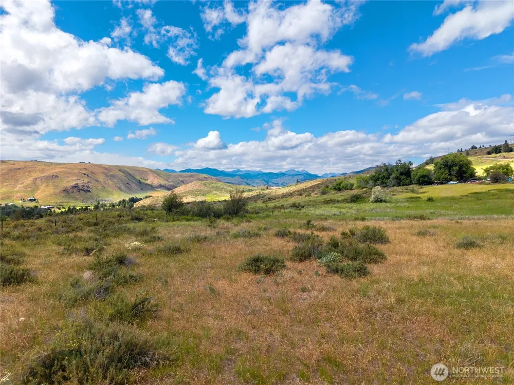 0 TBD Bear Creek Road Winthrop, WA 98862