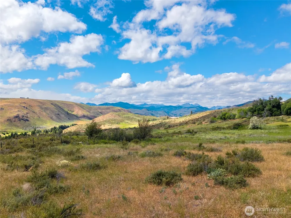 0 TBD Bear Creek Road Winthrop, WA 98862