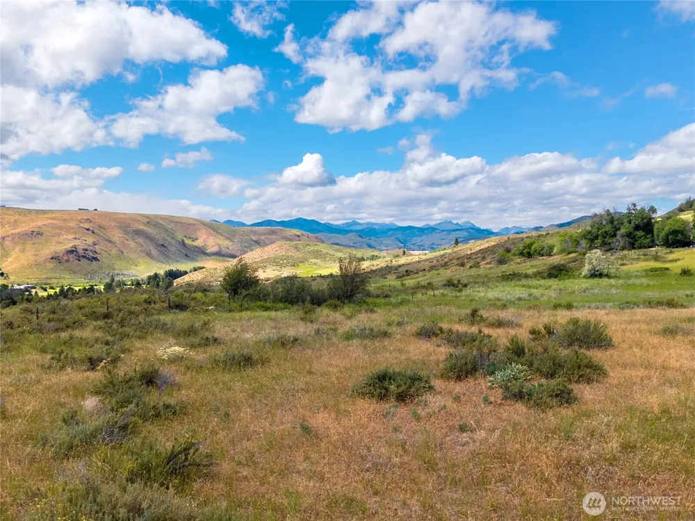 0 TBD Bear Creek Road Winthrop, WA 98862