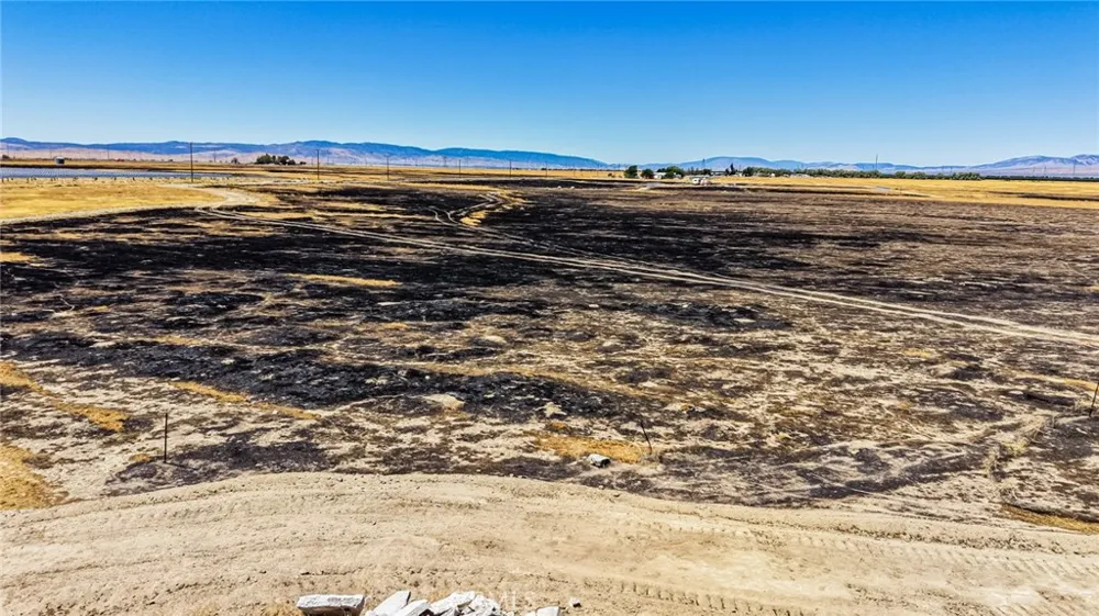 151 94th Street Rosamond, CA 93560