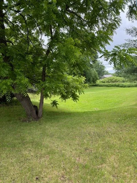 TBD Foley Street Deerwood, MN 56444