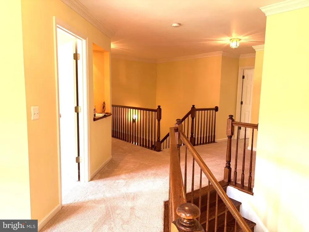 15528 CATTAIL OAKS Glenwood, MD 21738