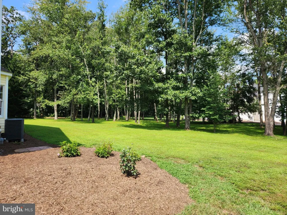15528 CATTAIL OAKS Glenwood, MD 21738