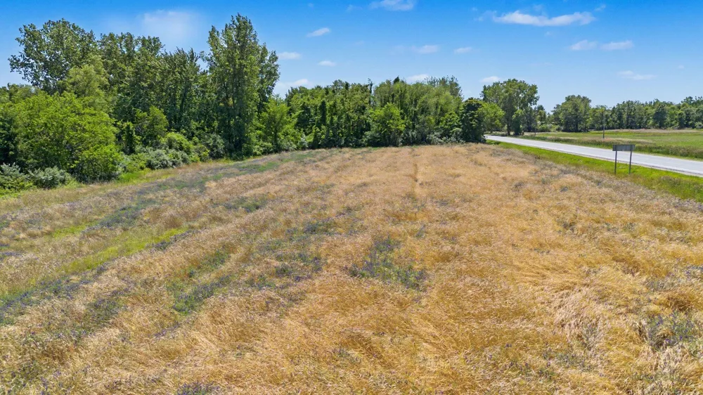 Meadowbrook Road Eau Claire, MI 49111