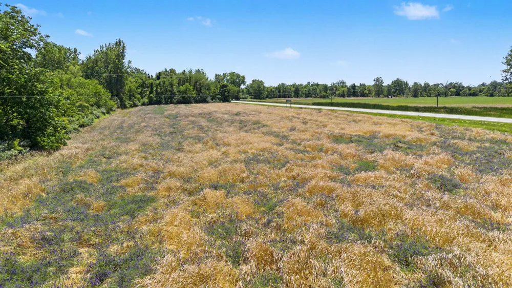 Meadowbrook Road Eau Claire, MI 49111