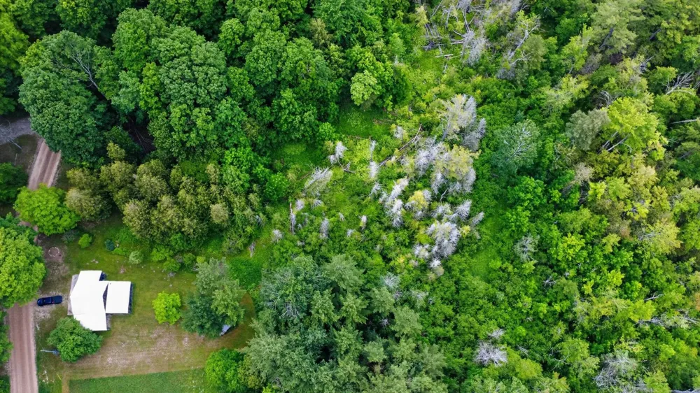 5885 Cedar Valley Road Long Lake Township, MI 49684