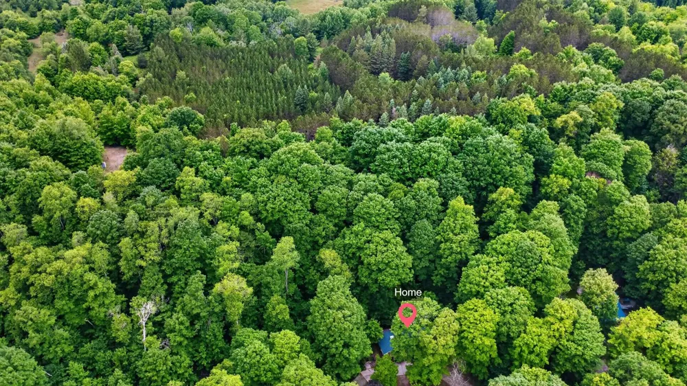 5885 Cedar Valley Road Long Lake Township, MI 49684