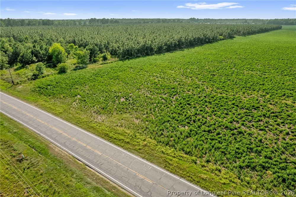 Old Wire (Lot 14) Road Shannon, NC 28386