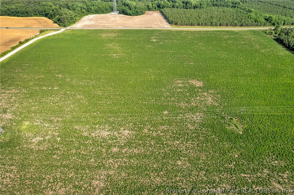 Old Wire (Lot 14) Road Shannon, NC 28386