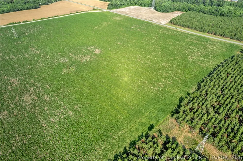 Old Wire (Lot 14) Road Shannon, NC 28386