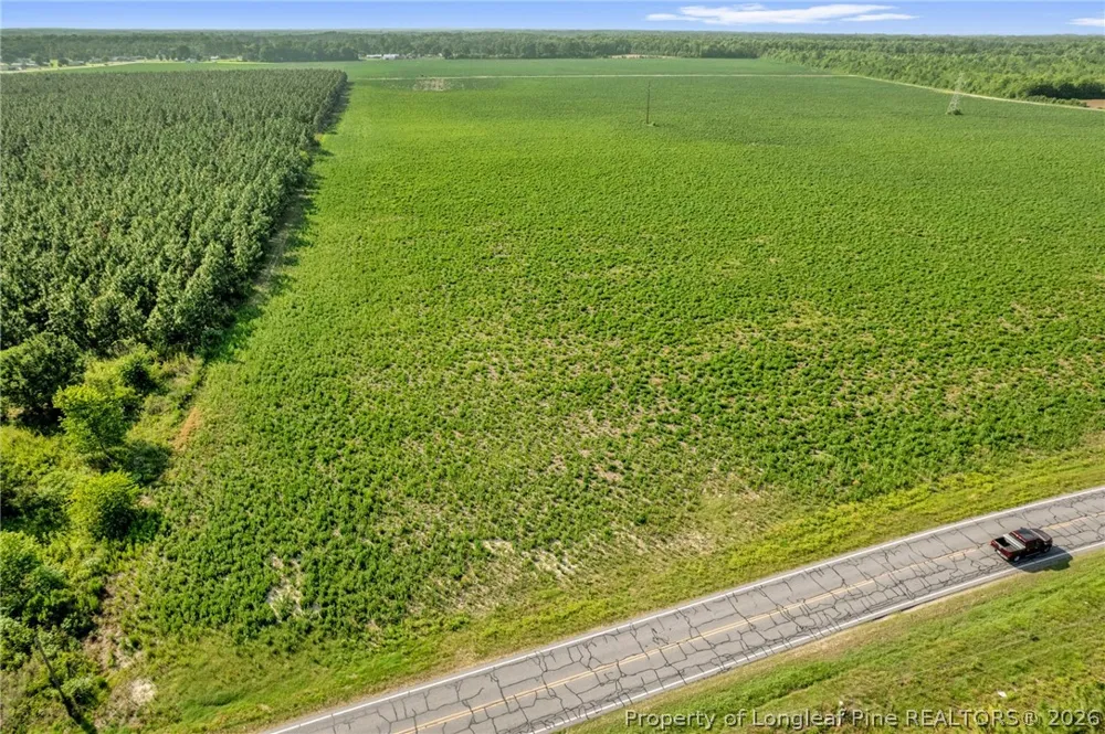 Old Wire (Lot 14) Road Shannon, NC 28386