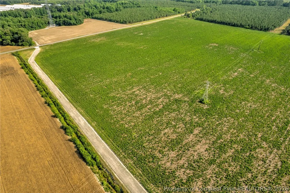 Old Wire (Lot 12) Road Shannon, NC 28386