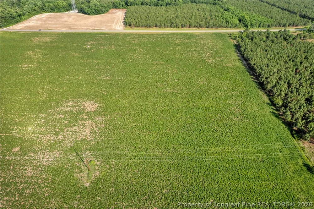 Old Wire (Lot 12) Road Shannon, NC 28386