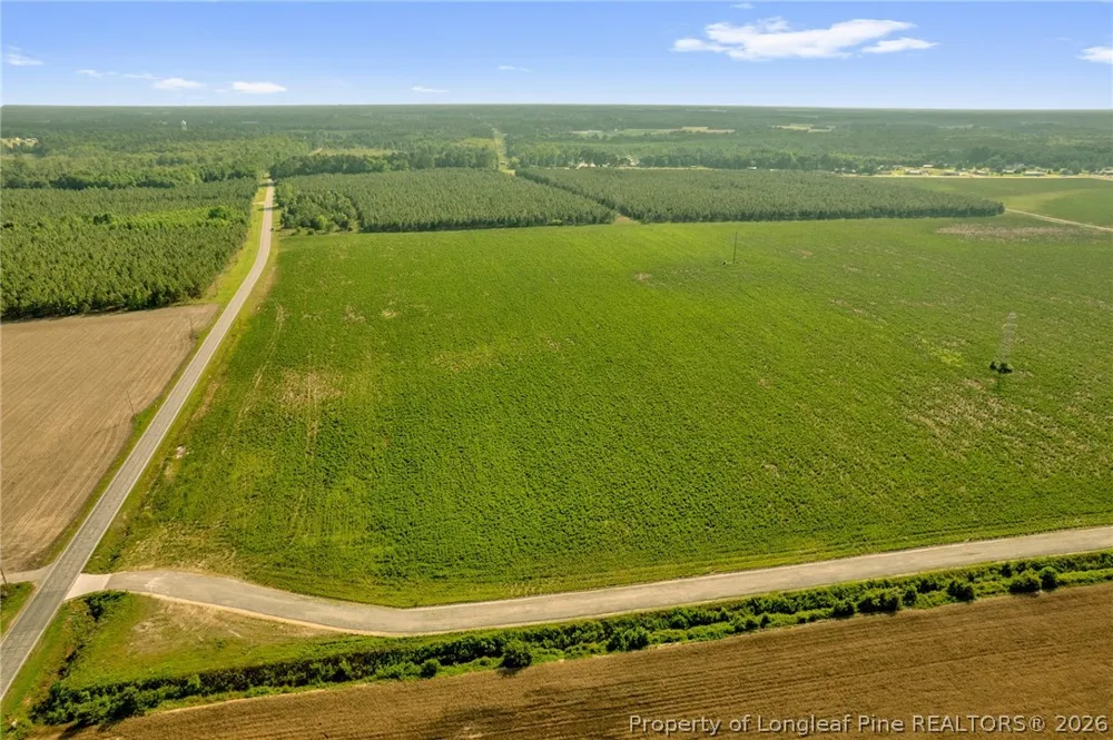 Old Wire (Lot 11) Road Shannon, NC 28386