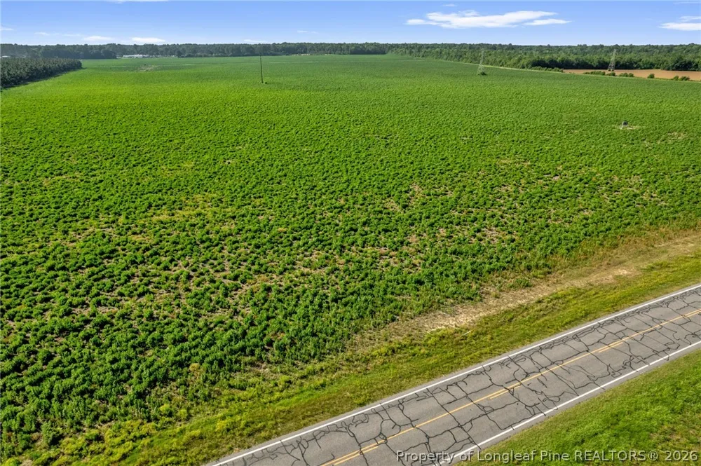 Old Wire (Lot 11) Road Shannon, NC 28386
