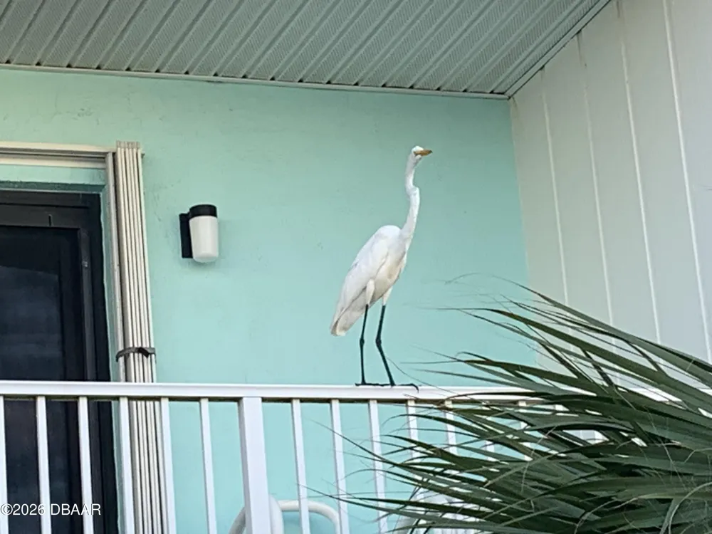 2850 Ocean Shore Boulevard #C-14 Ormond Beach, FL 32176